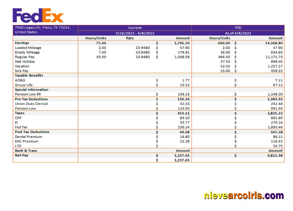 USA Fedex transportation company pay stub
